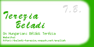 terezia beladi business card